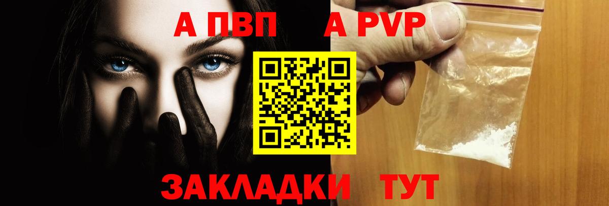 Альфа ПВП СК КРИС Хасавюрт