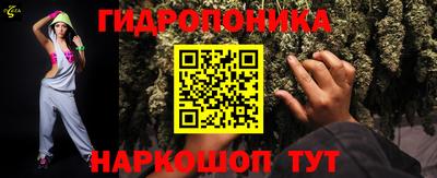 apvp Брянск