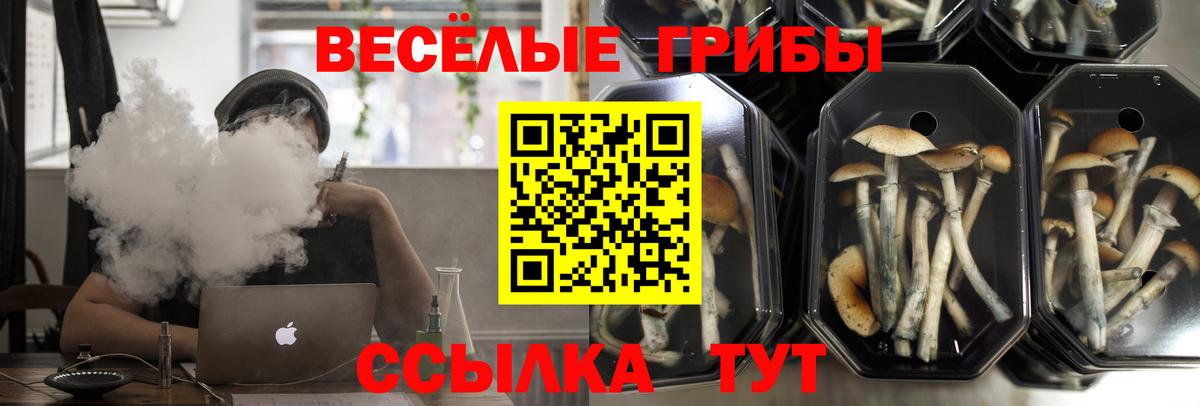 магазин  наркотиков  Галлюциногенные грибы мицелий  Вход с VPN  Псилоцибиновые грибы Psilocybine cubensis  Хасавюрт 